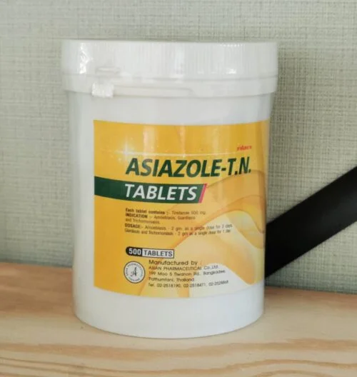 Tinidazole 500 mg 500 tablets (Bottle)