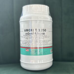 Amoxicillin 250 mg 1000 capsules