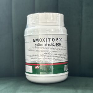 Amoxicillin 500mg 500 capsules in bottle