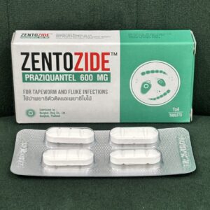 Praziquantel 600 mg 4 Tablets (Zentozide) - NEW